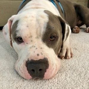 Meet your Posher, Meredith